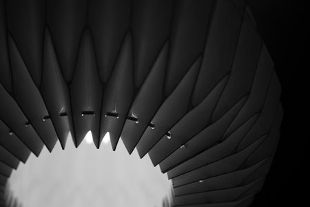 Abstract black and white composition with bright light. Curved lines, spirals, and shadows create a minimal indoor pattern. No people, just a wing-like shape.の写真素材