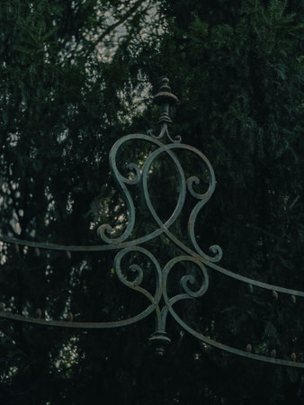 Decorative wrought iron gate element with an ornate symmetrical scroll design and finial, aged with patina and framed by dense, dark evergreen foliage in the backgroundの写真素材
