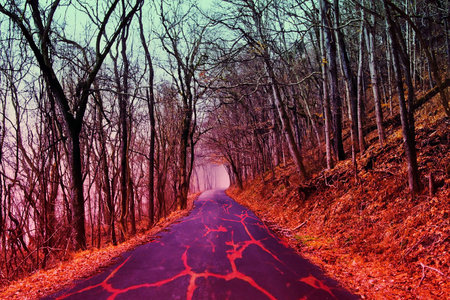 Magma in forestの写真素材