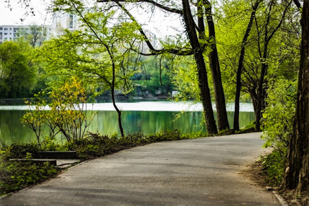 Sunday walking in the parkの写真素材