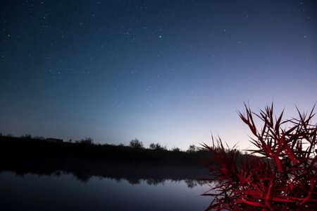 Serene sky full of starsの写真素材