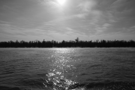 Scenery from a morning in Danube Delta