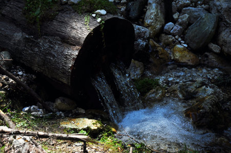 Water pouring from a tree trunk