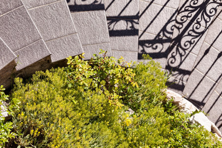 porphyry spiral staircase with green flowerbed
