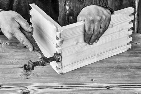 carpenter builds a wooden drawer with a hammer and jointsの写真素材