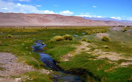 The beautiful fertile plain of Santa Rosa de los Pastos Grandes, Salta, Argentinaの写真素材