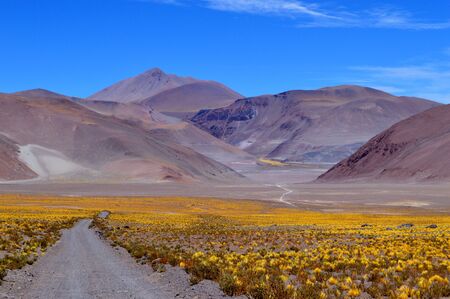 Overview of the entrance to the Quebrada del Agua, Socompa, Salta, Argentinaの写真素材