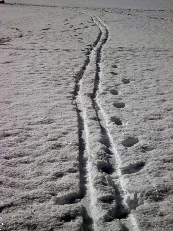 Track from the car and paths is illuminated by sunlight during the winter seasonの写真素材