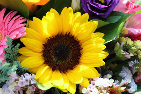 Colorful mixed bouquet with sunflower close upの写真素材
