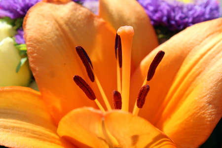 Lily pistil in a bouquet close upの写真素材