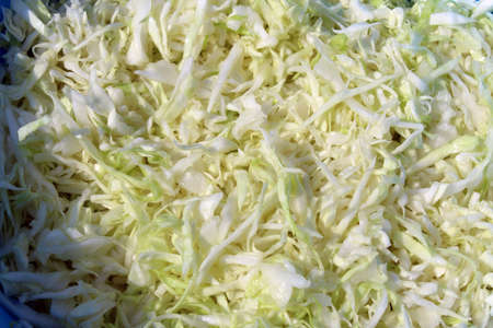 Sliced green cabbage backgroundの写真素材