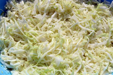 Sliced cabbage in a blue bowl backgroundの写真素材