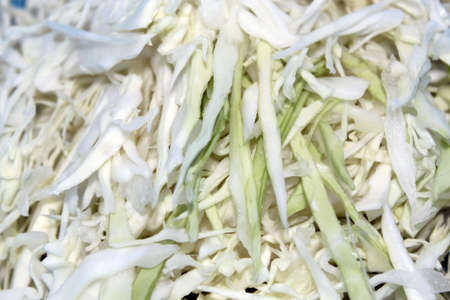 Sliced green cabbage backgroundの写真素材