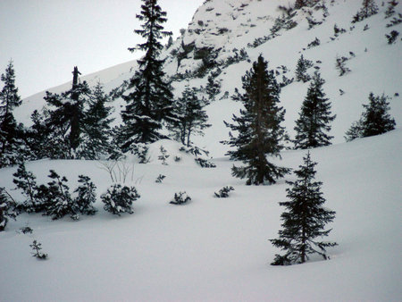 Winter and snow landscape with Godeanu Mountains, Charpatians Mountains in Romaniaの写真素材