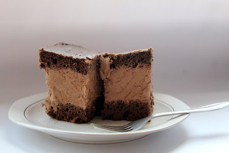Rigo Jancsi, a traditional Hungarian cube-shaped chocolate sponge cake homemade in Romaniaの写真素材
