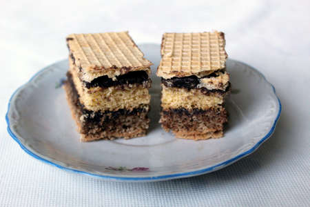 Two piece of Yugoslavia cake made in Romania-Serbia borderの写真素材