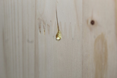 Paint brush with water based colorless lacquerの写真素材