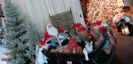 Group of jovial toy Santa Clauses with traditional white beards and red outfits symbolising Christmas in an airport shop in Helsinkiの写真素材