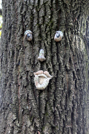 Tree Face Decoration on Barkの写真素材