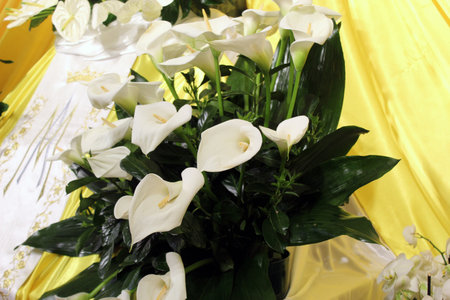 Elegant white Calla Lily bouquet with lush green leavesの写真素材