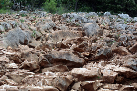 Rocky Hiking Trail in Mountainous Forest Terrainの写真素材