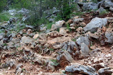 Rocky Path to Apparition Hill in Medjugorje, Bosnia and Herzegovinaの写真素材