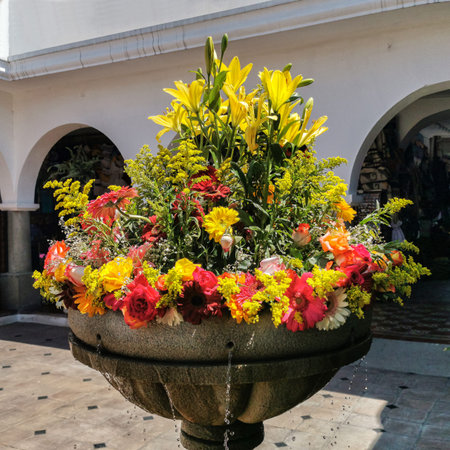 Amazing colorful bouquet of flowers in a back yard in Antigua, Guatemalaの写真素材