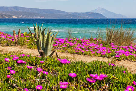 Beach in Halkidiki, in front of Mount Atos, Greeceの写真素材