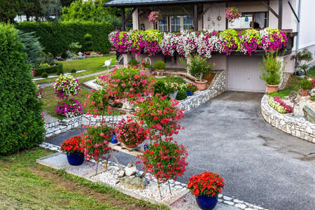Beautiful flowers in the yardの写真素材