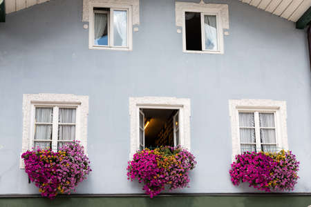 Beautiful flowers in the windowの写真素材