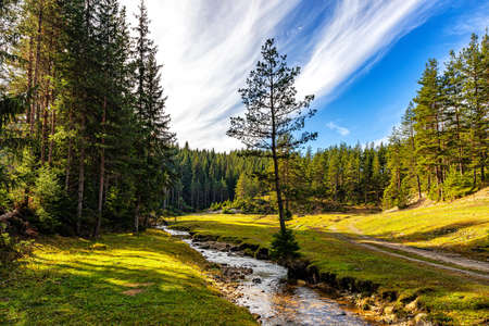 Amazing autumn view of waterfall in Sredna gora mountains near Klisura, Bulgariaの写真素材