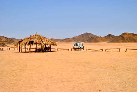 Safari in Egyptの写真素材
