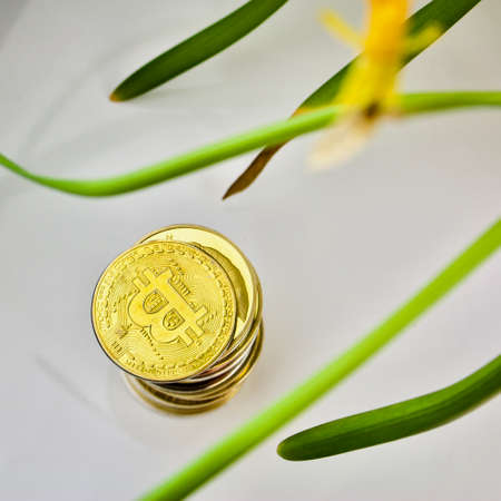 Cryptocurrency physical gold bitcoin coin and flowersの写真素材