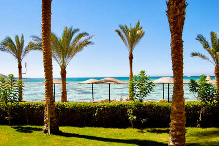 Holiday in Africa. Beach in Egypt near to hotel rooms. Palms, water.のeditorial素材