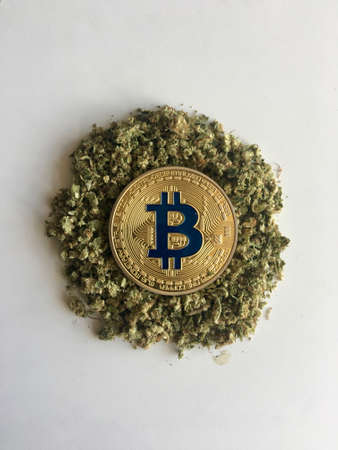 Digital currency physical gold bitcoin coin on dry weedのeditorial素材