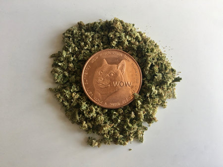 Digital currency physical brass doge coin on the weed.のeditorial素材