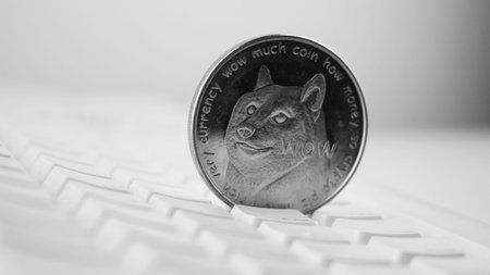 Digital currency physical black dogecoin coin on white computer keyboard.の写真素材