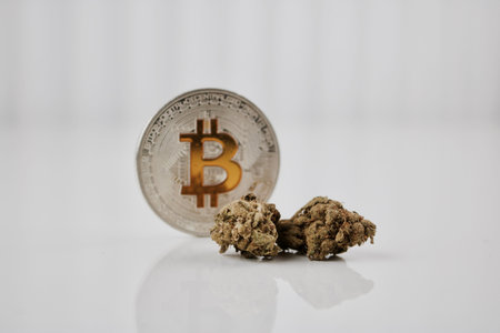Digital currency physical yellow bitcoin coin on the table near green marijuana plants.の写真素材