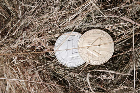 Digital currency physical silver and gold litecoin coin in grass.の写真素材