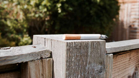 Half cigarette on the wooden wall in the garden at summer time.の写真素材