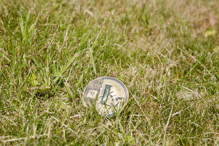 Digital currency physical gold litecoin coin in green grass.の写真素材