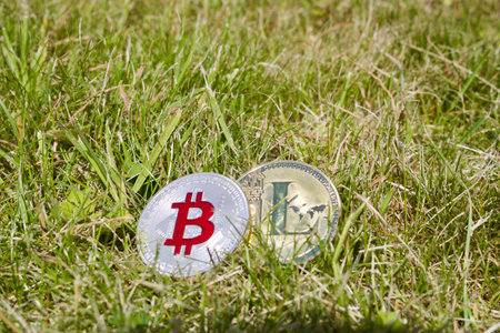 Digital currency physical silver bitcoin and gold litecoin on the grass.のeditorial素材