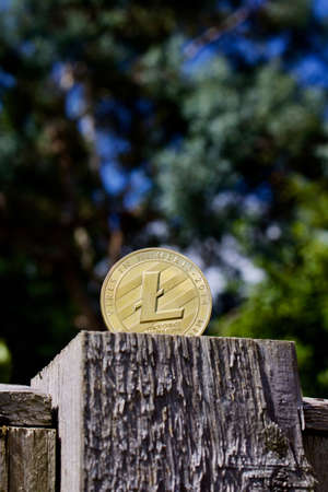 Digital currency physical gold litecoin coin on the wooden fence in the garden.のeditorial素材