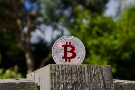 Digital currency physical red bitcoin coin on the wooden fence in the garden.の写真素材