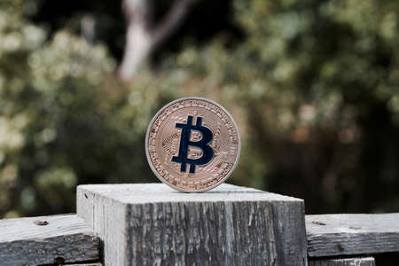 Digital currency physical gold bitcoin coin with blue sign on the wooden fence in garden.のeditorial素材