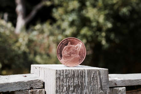 Digital currency physical brass dogecoin coin on the wooden fence in garden.のeditorial素材