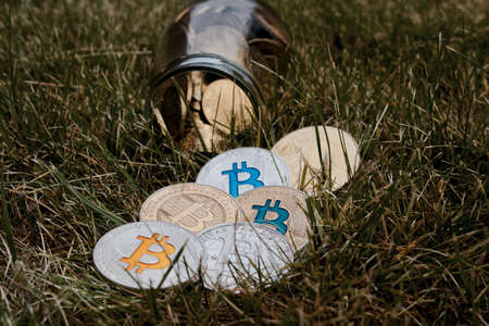 Digital currency physical silver and gold bitcoin coins in grass.の写真素材