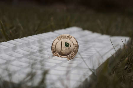 Digital currency physical gold peercoin coin on white keyboard in green grass.の写真素材