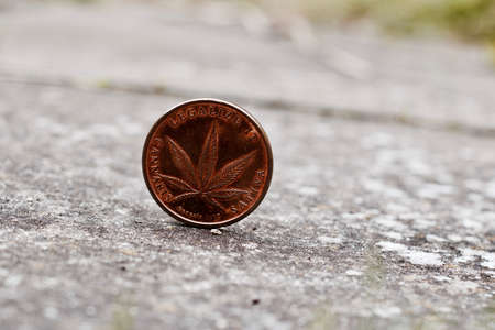 Legalize it. Cannabis sativa brass big coin with leaf.の写真素材