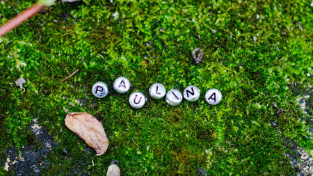 Silver inscription on the green grass. Paulina name in the forest.の写真素材